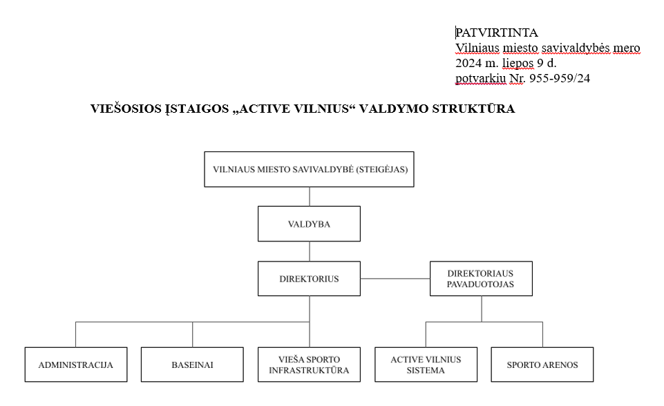 valdymo_struktura