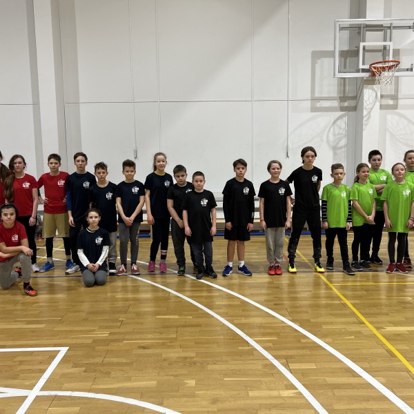 Vilniaus gyventojų fizinis aktyvumas per naują beisbolo žaidimą "Beisbolas 5"