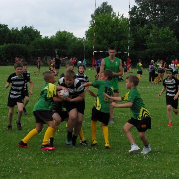 We play sports, grow, strengthen with the Geležinis Vilkas