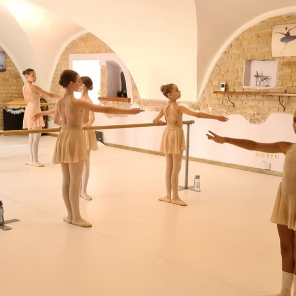 Jėgos, lankstumo, teisingo kvėpavimo, artistiškumo programos gimnastikos ir baleto sportininkams