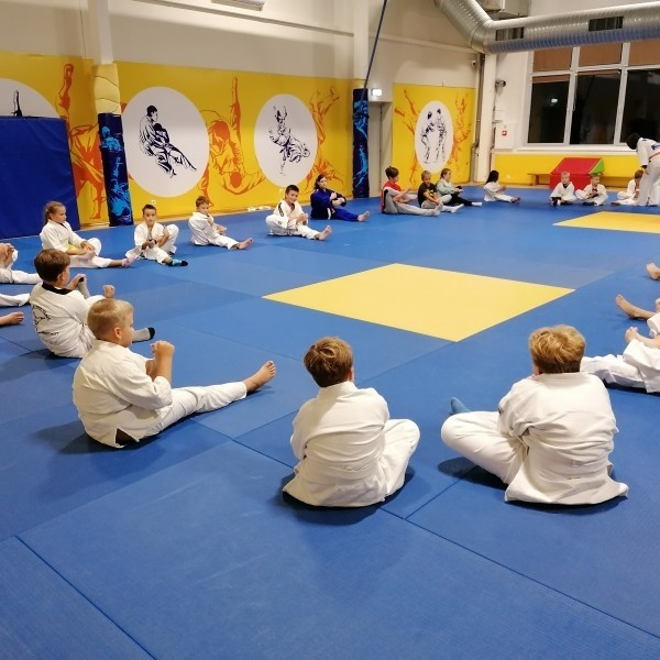 Droga do aktywności fizycznej przez judo, tatami dla mieszkańców Wilna