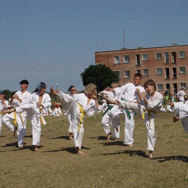 Pasitikite vasarą kartu su Kyokushin karate klubu "TOSHI"