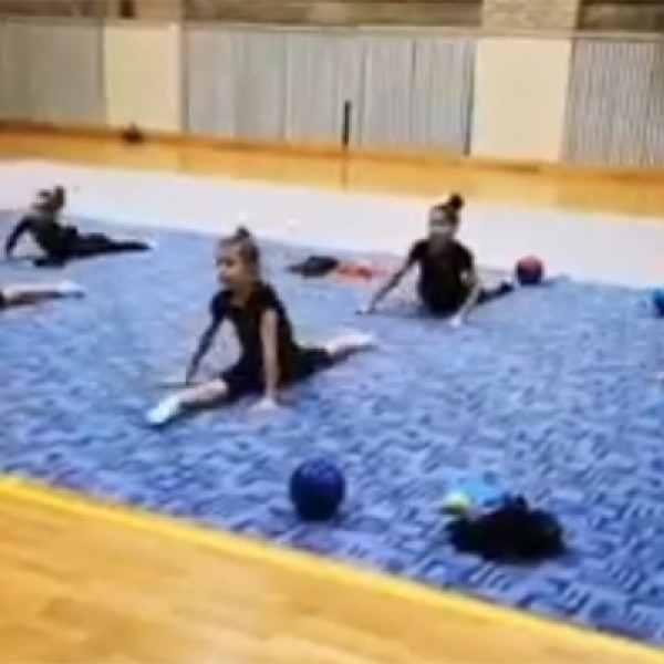 Meninės gimnastikos populiarinimas, skatinant vaikų fizinį aktyvumą
